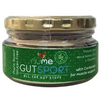 NuMeSa Gut Sport Vegan Prebiotic Powder 